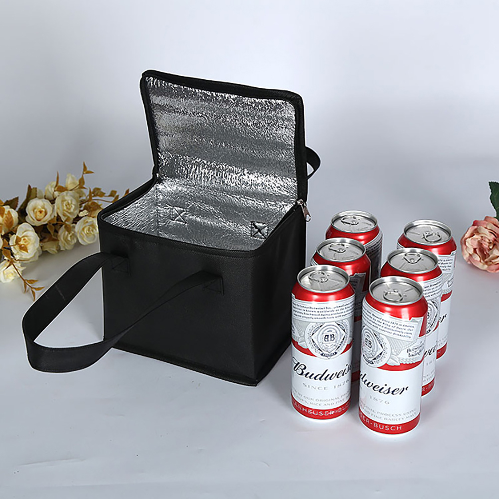 Portable Lunch Cooler Bag Insu - Outdoor Camping Meals recensie en prijs
